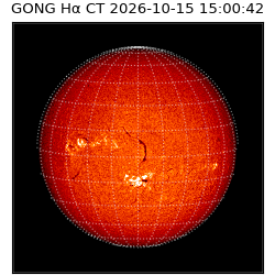 gong - 2026-10-15T15:00:42