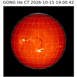 gong - 2026-10-15T19:00:42
