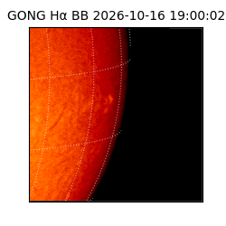 gong - 2026-10-16T19:00:02