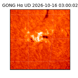 gong - 2026-10-16T03:00:02