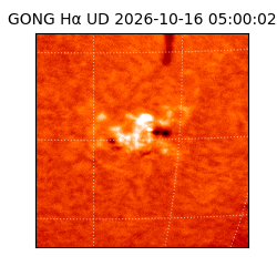 gong - 2026-10-16T05:00:02
