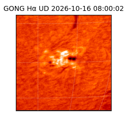 gong - 2026-10-16T08:00:02