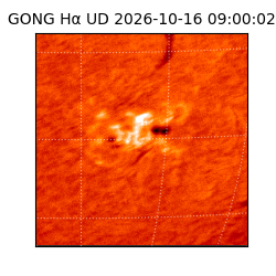 gong - 2026-10-16T09:00:02