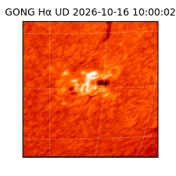 gong - 2026-10-16T10:00:02