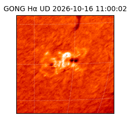 gong - 2026-10-16T11:00:02