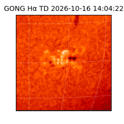 gong - 2026-10-16T14:04:22