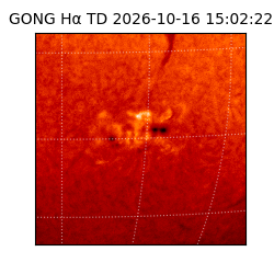 gong - 2026-10-16T15:02:22