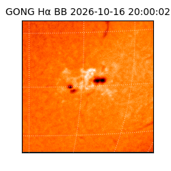 gong - 2026-10-16T20:00:02