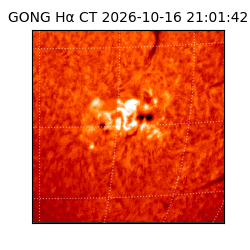 gong - 2026-10-16T21:01:42