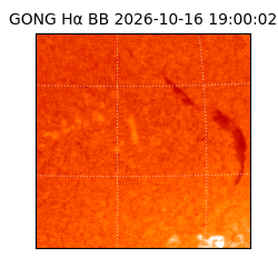 gong - 2026-10-16T19:00:02