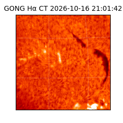 gong - 2026-10-16T21:01:42