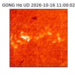 gong - 2026-10-16T11:00:02