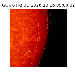 gong - 2026-10-16T09:00:02