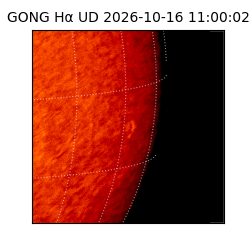 gong - 2026-10-16T11:00:02