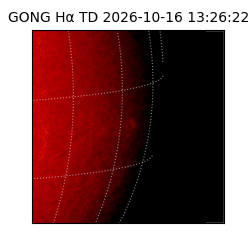 gong - 2026-10-16T13:26:22