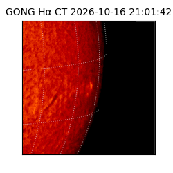gong - 2026-10-16T21:01:42