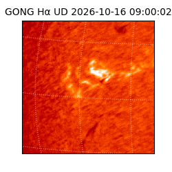 gong - 2026-10-16T09:00:02