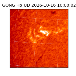gong - 2026-10-16T10:00:02