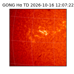 gong - 2026-10-16T12:07:22