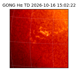 gong - 2026-10-16T15:02:22