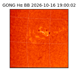 gong - 2026-10-16T19:00:02