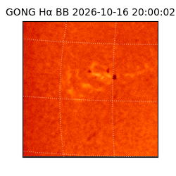 gong - 2026-10-16T20:00:02