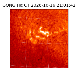 gong - 2026-10-16T21:01:42