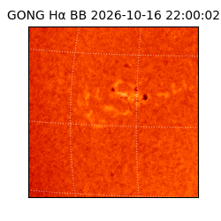 gong - 2026-10-16T22:00:02