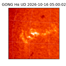 gong - 2026-10-16T05:00:02
