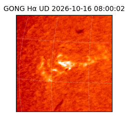 gong - 2026-10-16T08:00:02