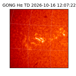 gong - 2026-10-16T12:07:22