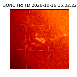 gong - 2026-10-16T15:02:22