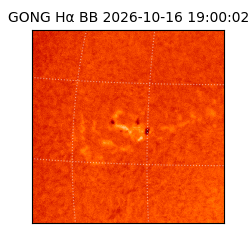 gong - 2026-10-16T19:00:02