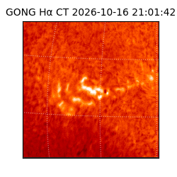gong - 2026-10-16T21:01:42
