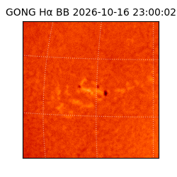 gong - 2026-10-16T23:00:02