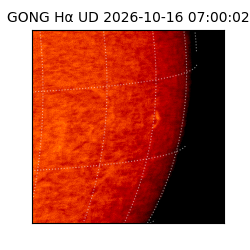gong - 2026-10-16T07:00:02