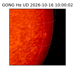 gong - 2026-10-16T10:00:02