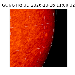 gong - 2026-10-16T11:00:02