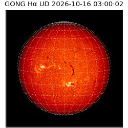 gong - 2026-10-16T03:00:02