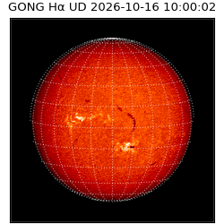 gong - 2026-10-16T10:00:02