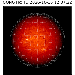 gong - 2026-10-16T12:07:22