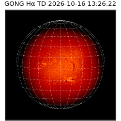 gong - 2026-10-16T13:26:22