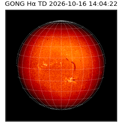 gong - 2026-10-16T14:04:22