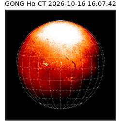 gong - 2026-10-16T16:07:42