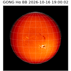 gong - 2026-10-16T19:00:02