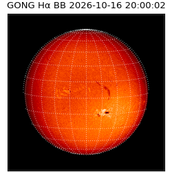 gong - 2026-10-16T20:00:02