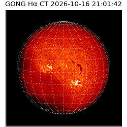 gong - 2026-10-16T21:01:42