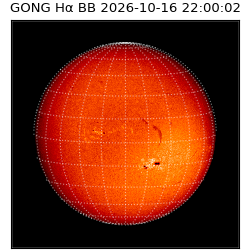 gong - 2026-10-16T22:00:02