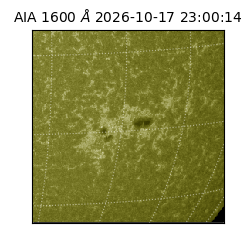 saia - 2026-10-17T23:00:14.124000