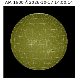 saia - 2026-10-17T14:00:14.122000